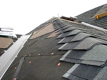 shingle roofing 3