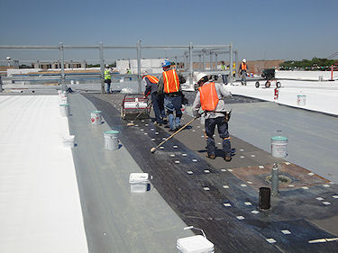 tpo pvc roofing 8